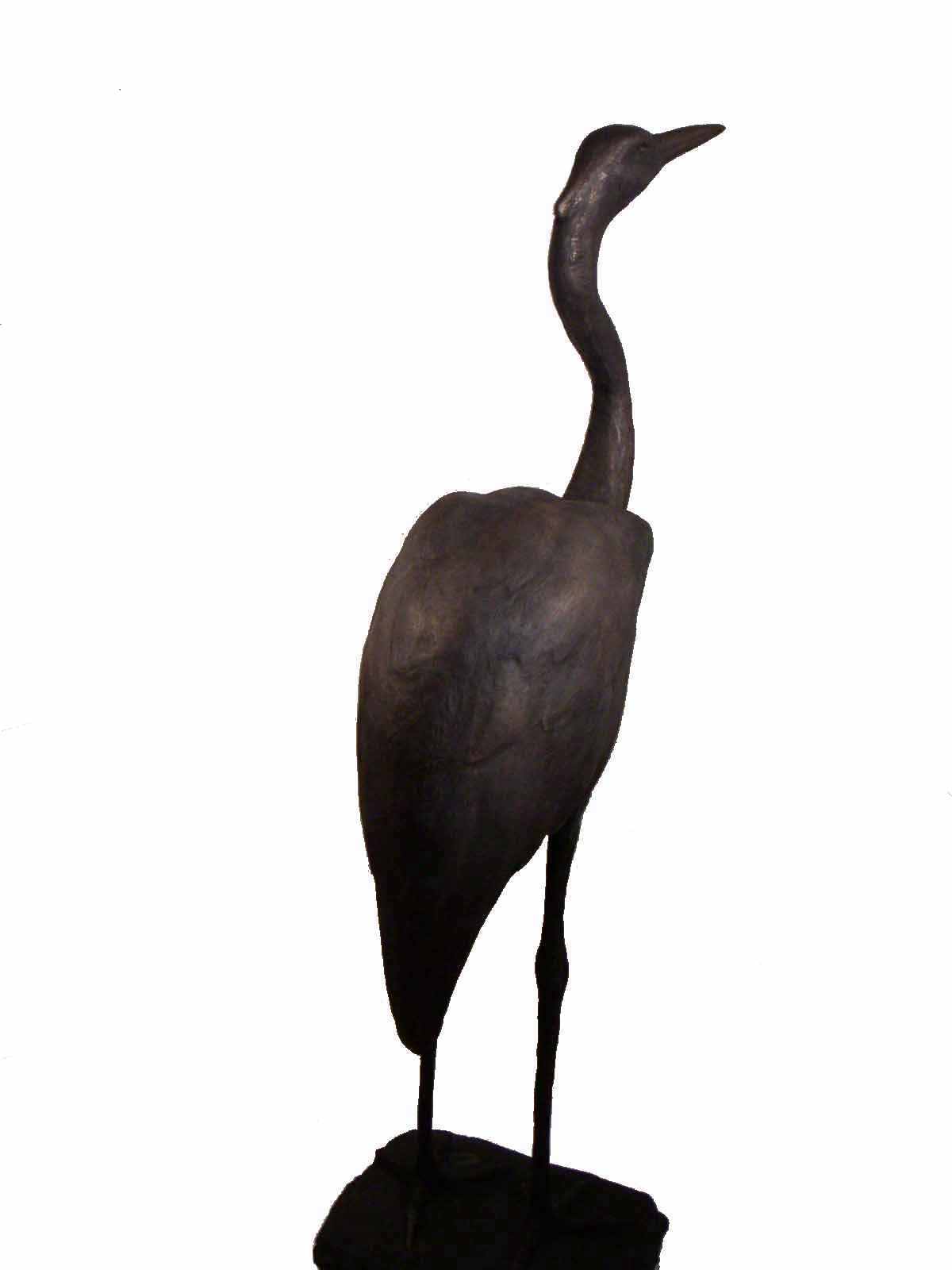 Fischreiher