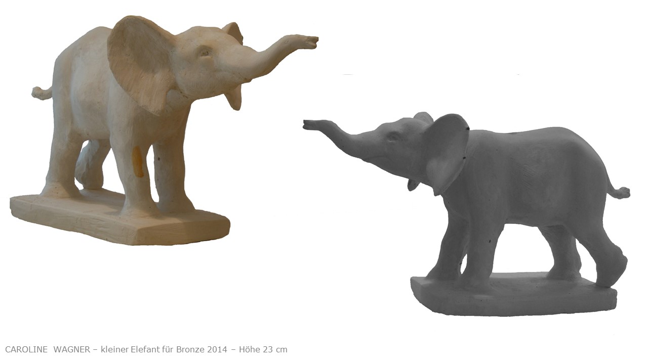 Junger Elefant