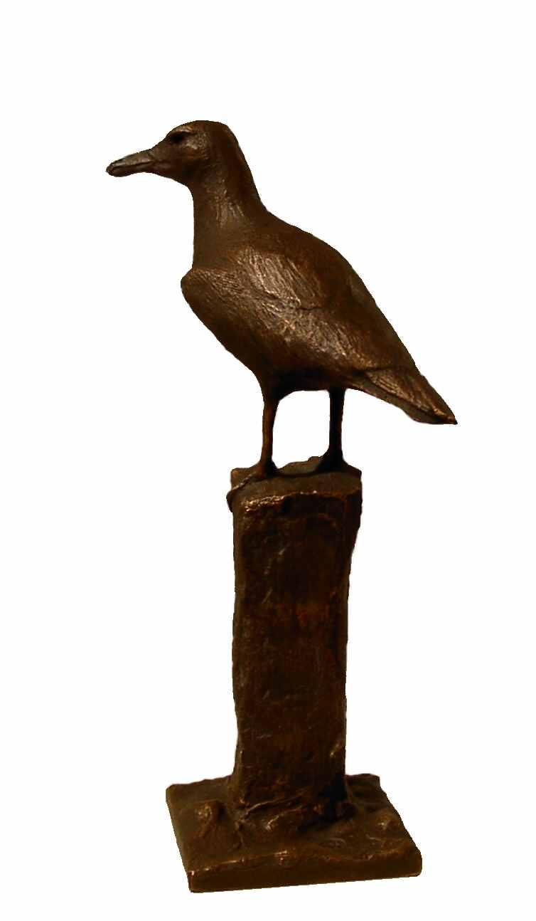Möwe